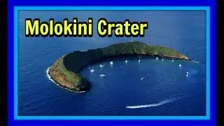 Molokini Crater Snorkeling,Swimming with the turtles,Calypso,Maui
