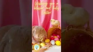 Relaxing Music - Easter Bunny, Easter Egg #easter,#easteregg,#shorts,#viral,#youtubeshorts,#ytshorts