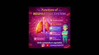 Respiratory System Explained in Hinglish | GNM & B.Sc Nursing | Nursing Scholar#nurse #humananatomy 