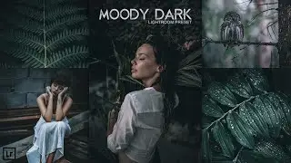 Moody DARK Preset - Lightroom Dark Presets | Black Presets | Dark Presets | Moody Presets