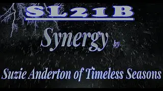 Second Life 21st Birthday   SYNERGY EXHIBIT  SL21B 4K