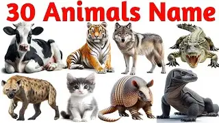 30 Animals Name in English & Hindi with Picture | जानवरो के नाम | Educational Video for Kids,Toddler