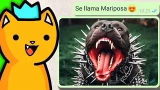 ADOPTA UN PERRO 😍 (Conversaciónes Randoms en WhatsApp)