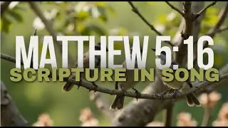 Let Your Light So Shine (Matthew 5:16) | Word-for-Word Bible Song | Heavenly Fuel