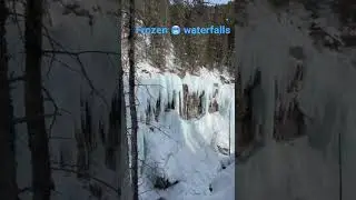 Hiking 🥾 at Johnston Canyon in Banff. Full video coming 🔜.