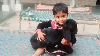 Little baby and her FRriend  $ $ $check their Friendship $M saleem DIK.Amaizing