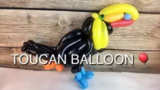 #toucan #balloonanimals #balloonanimal  Watch me make a Toucan out of 260 balloons 🎈