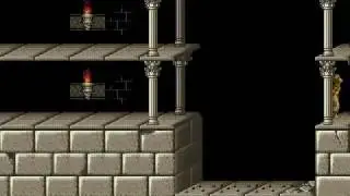 The Princess in Danger (mk1994, 2007) - Level 1 (shortcut version)