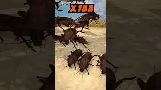 OHIO i put my armor on  show you how strong I am unstoppable Cockroach Level 1 to Ohio Level