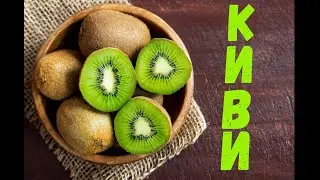 KIWI(kiwi) how it grows and how it is harvested