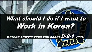 What is the D-8 Visa?