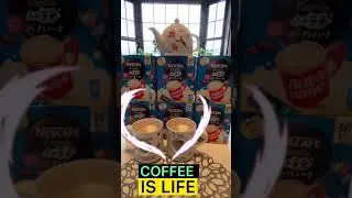 COFFEE IS LIFE☕️#NESCAFE#COFFEE#IS#LIFE#Shorts