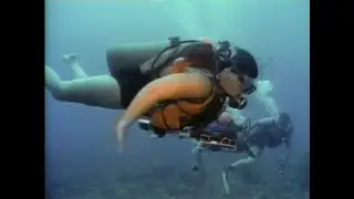 Disabled Woman Scuba Diving 1990