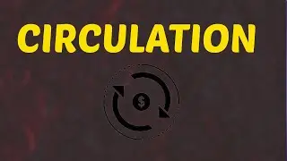 What Does CIRCULATION Means || Meanings And Definitions With Example in ENGLISH