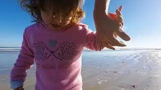 Summer in Paternoster Spring Flower Time