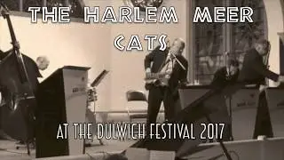 Harlem Meer Cats at the Dulwich Festival