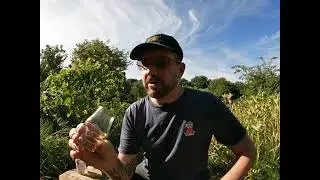 Gold Spot 9 years old / Allotment Dram (Episode #126)