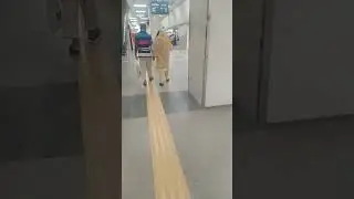 ১০ আগস্ট, ২০২৫