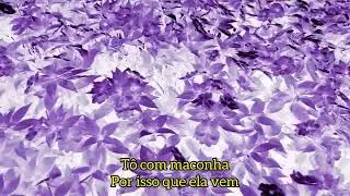 Duvini 
