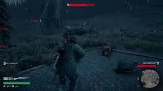 DAYS GONE River Flows Farm Horde Cheesed