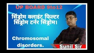 klinefelter syndrome in hindi class 12 biology | क्लाइनफेल्टर सिंड्रोम  by  Sunil sir