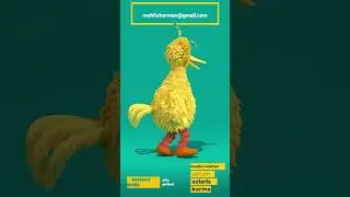 Big Bird  Houdini Feather Simulation