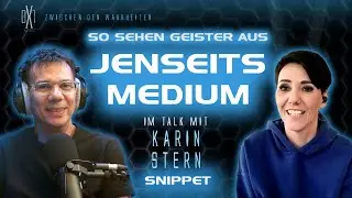JENSEITSKONTAKT - SO SIEHT JENSEITSMEDIUM KARIN GEISTER | SNIPPET