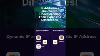 Why Businesses Choose Static vs. Dynamic IP Addresses