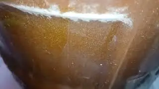 Beer In Progress: Day 3 of my porter fermenting.