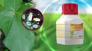 TWETER....HIGH QUALITY..CHEMISTRY FOR COTTON CROP ...WHITE FLY & JASSID...