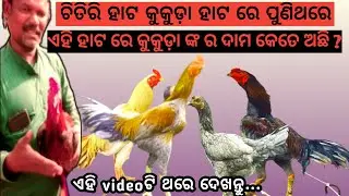 ଏହି ହାଟରେ କୁକୁଡ଼ା ଙ୍କର ଦାମ କେତେ ଅଛି?ଏହି ହାଟ ଟି କେଉଁ ଦିନ ଆରମ୍ଭ ହୋଇଥାଏ#pasufarming#vairal#market#blackz