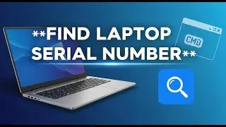 How to Get the Serial Number of Laptop 💻 Find PC Serial Number