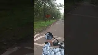 #viralvideo #trending #chauragarh #nationalpark #trending #tiktok