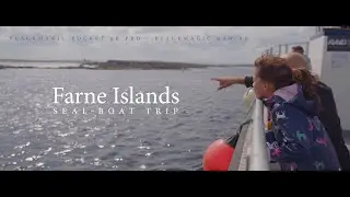 Farne Islands - Seal Boat Tour