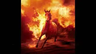 Wildfire - Michael Martin Murphey (cover)