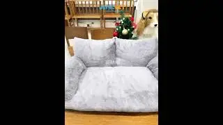 Cozy double dog bed! Doubling the comfort and happiness for your pets to share wonderful times!