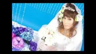 TG Brides XII - Japanese T Brides