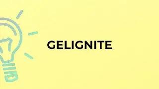 What is the meaning of the word GELIGNITE?