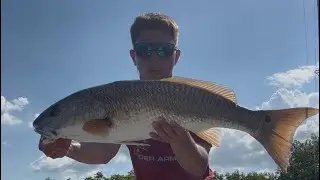 Catching Giant Redfish In A Gheenoe - Upper Tampa Bay