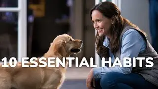10 Habits That Every Successful High-Energy Dog Owner Swears By