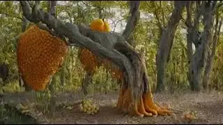 🍊🌲 Unveiling the Rotten Orange Fruit Tree Monster: Hyper-Realistic Adaptations 🌄🔬
