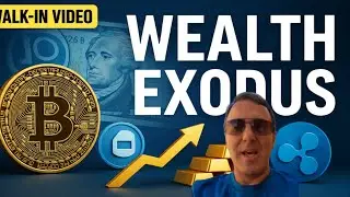 The Trillion‑Dollar Wealth Exodus &mdash; Bitcoin Flows, Stablecoin Wars & XRP Whale Moves