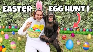 CHIMPANZEE EASTER EGG HUNT CHALLENGE !