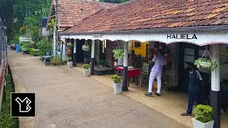 Hali Ela Railway Station in Sri Lanka - An Overview with Photos