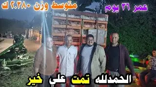 نتيجة انقاذ عنبر 1500 فرخ عمر 30 يوم من المايكوبلازما الشرسة (عطس وخنفرة)