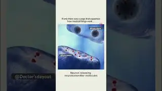 Neurons and how they work  ||#shortvideo #viralvideo #youtubeshorts #trending 👨&zwj;⚕️