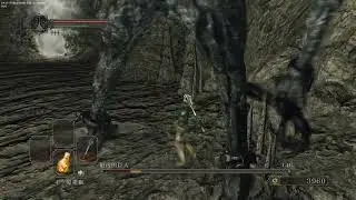Ds2 sl1 Last Giant CoC no roll/block/parry/hit