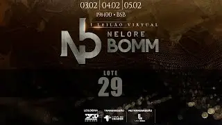 LOTE 29   ARYN 213 MACF 545 TUL 4865 TUL 4916 TUL 4866 VCPB 361 BOMM 143 CNB J193