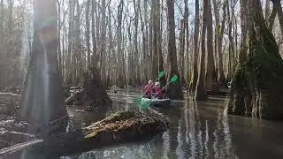 Congaree National Park 2.6.26 with Carolina Outdoor Adventures morning and afternoon trips 