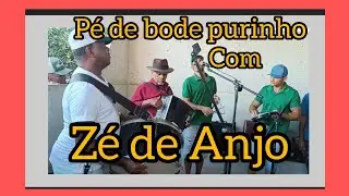 ZÉ DE ANJO, FAZENDA ALDEIA)